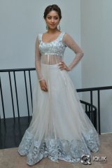 Anu Emmanuel at Kittu Unnaadu Jagratha Movie Gummadikaya Function